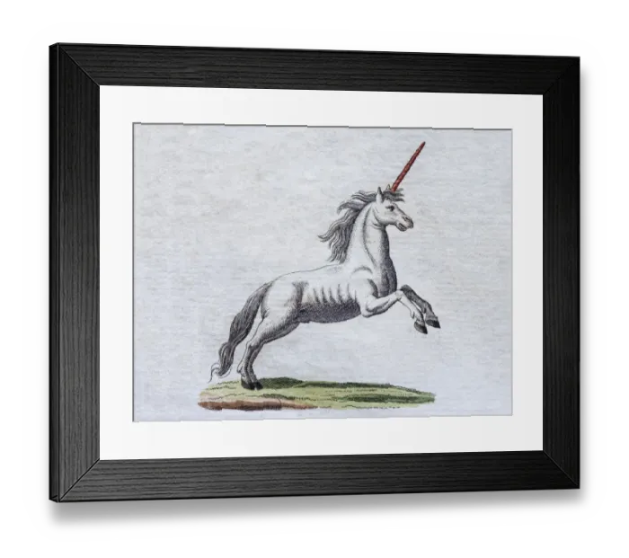 Framed Print : Unicorn, hand-colored copper engraving from childrens picture book by Friedrich Justin Bertuch Framed Print : Unicorn, hand-colored copper engraving from childrens picture book by Friedrich Justin Bertuch