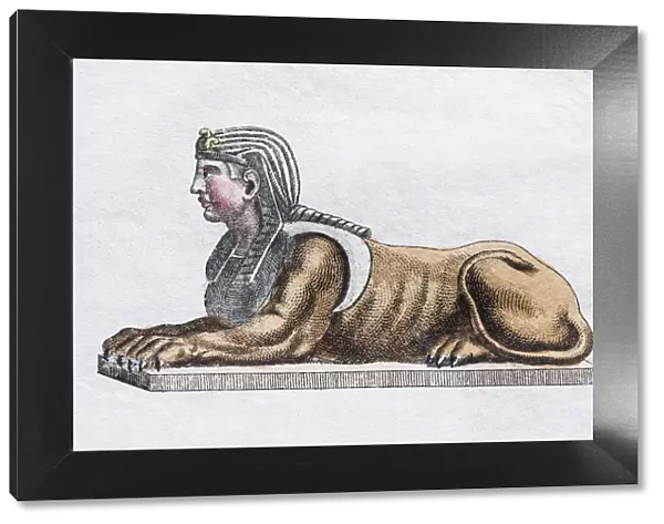 Greek Sphinx, hand - colored copper engraving from Friedrich Justin Bertuch Picture