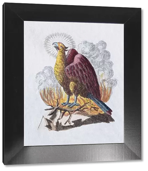 Phoenix, hand-colored copper engraving from childrens picture book by Friedrich Justin Bertuch