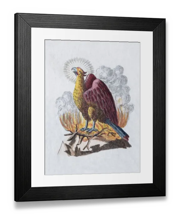 Framed Print : Phoenix, hand-colored copper engraving from childrens picture book by Friedrich Justin Bertuch