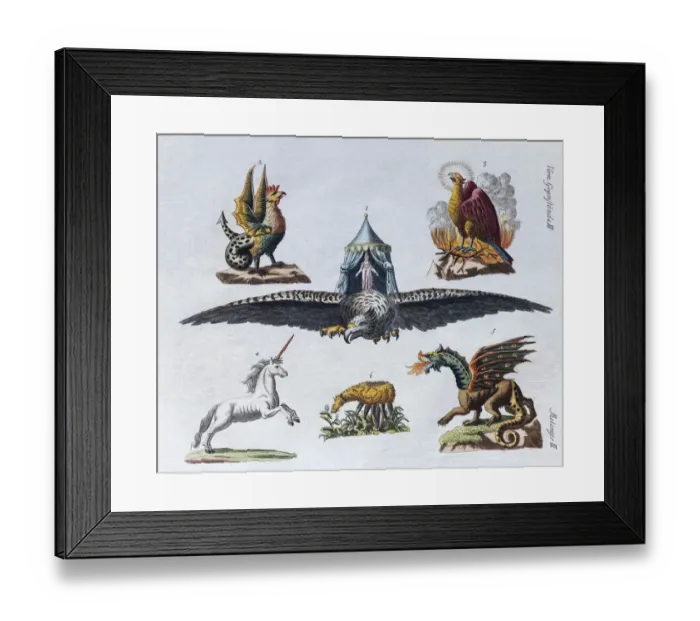 Framed Print : Magical creatures, hand-colored copper engraving from childrens picture book by Friedrich Framed Print : Magical creatures, hand-colored copper engraving from childrens picture book by Friedrich