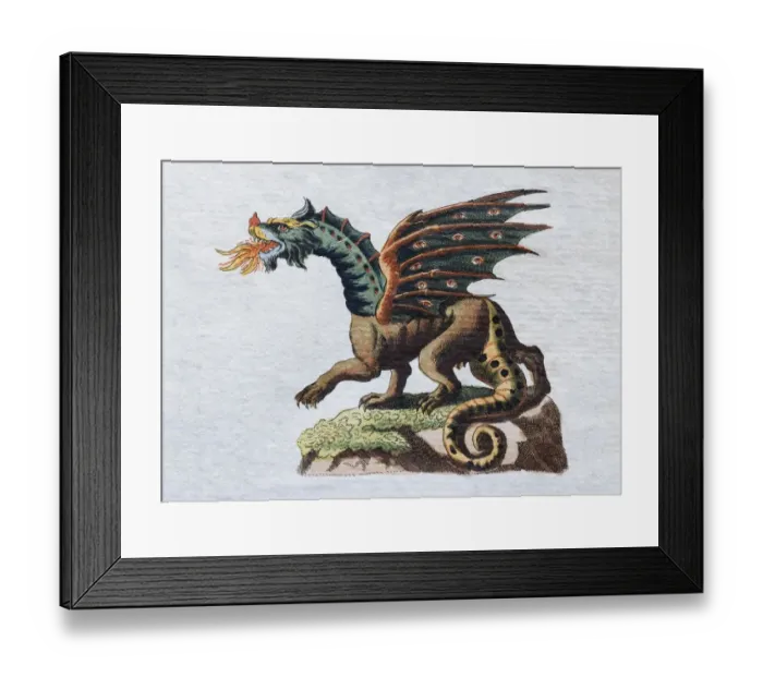 Framed Print : Dragon, hand-colored copper engraving from childrens picture book by Friedrich Justin Bertuch Framed Print : Dragon, hand-colored copper engraving from childrens picture book by Friedrich Justin Bertuch