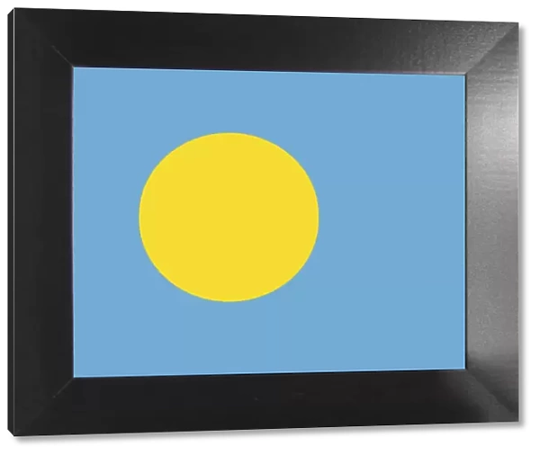 Official national flag of Palau