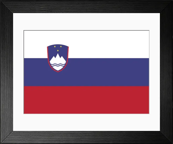 Framed Print : Flag of Slovenia Framed Print : Flag of Slovenia