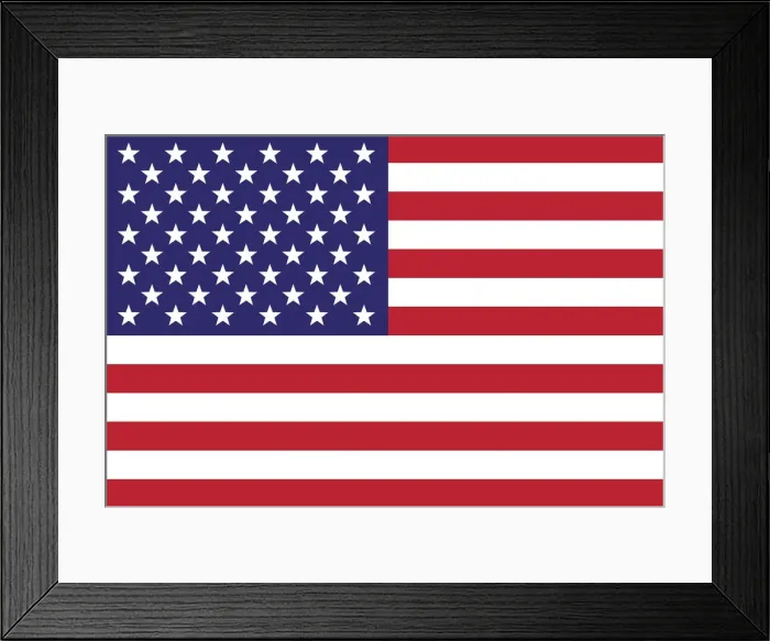 Framed Print : US Flag