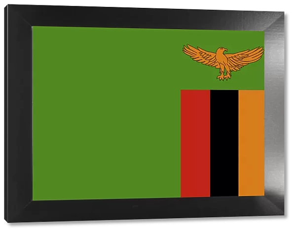 Zambia Flag Illustration