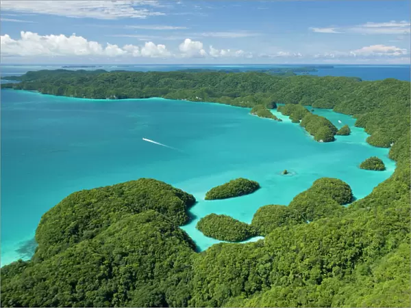 Islands of Palau, Micronesia, Pacific