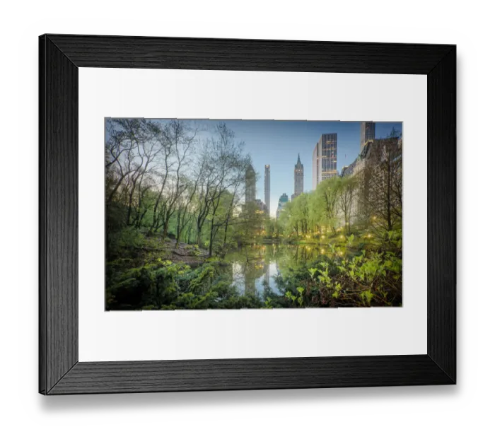 Framed Print : Looking East on the Duck Pond and Skyscrapers in Central Park Framed Print : Looking East on the Duck Pond and Skyscrapers in Central Park