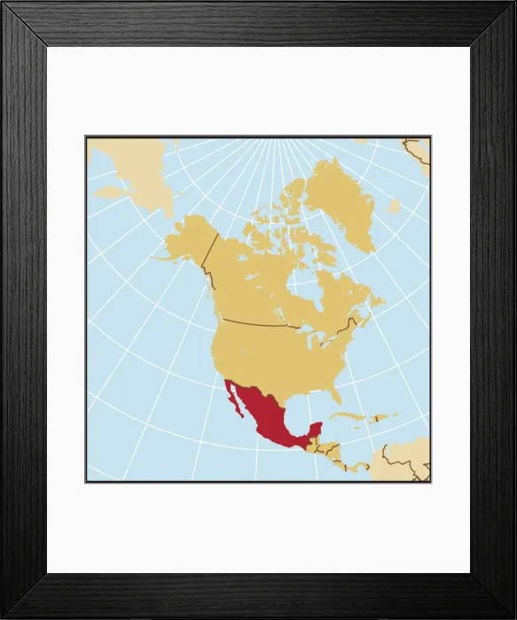 Framed Print : Mexico reference map
