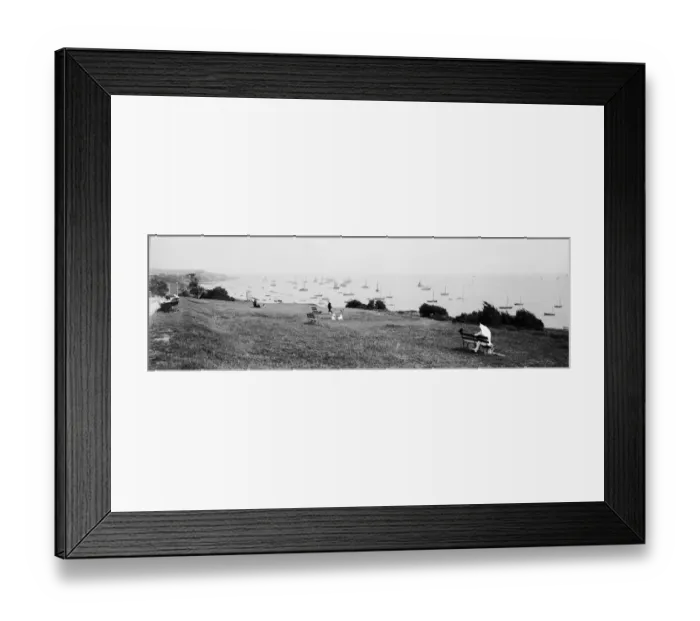 Framed Print : Leigh Cliffs Framed Print : Leigh Cliffs