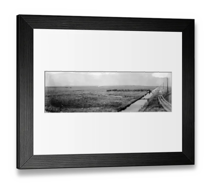 Framed Print : Shell Beach Framed Print : Shell Beach