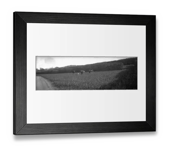 Framed Print : Flower Picking Framed Print : Flower Picking