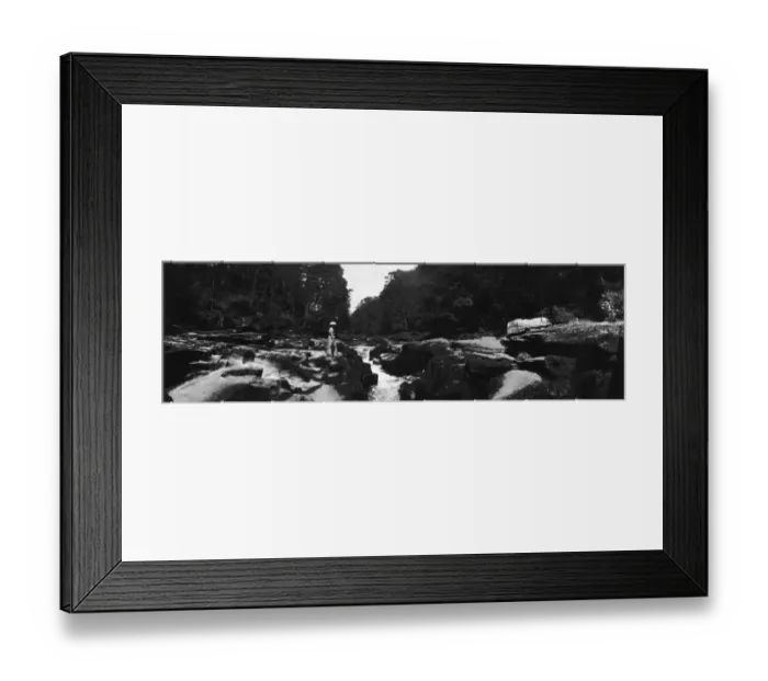 Framed Print : Woodland Walk Framed Print : Woodland Walk