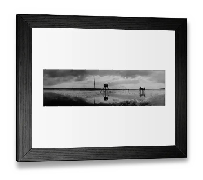 Framed Print : Holy Island Path