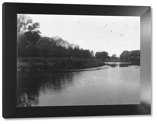 Pond View. A panormanic view of Sale Pond in Pallinsburn near Coldstream