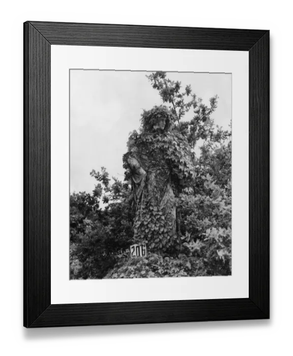 Framed Print : The Green Woman Framed Print : The Green Woman