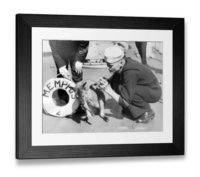 Framed Print : Ship Kangaroo Framed Print : Ship Kangaroo