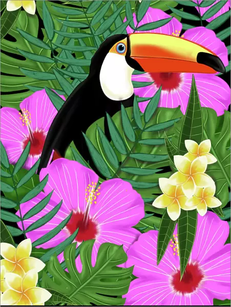 tropical Toucan