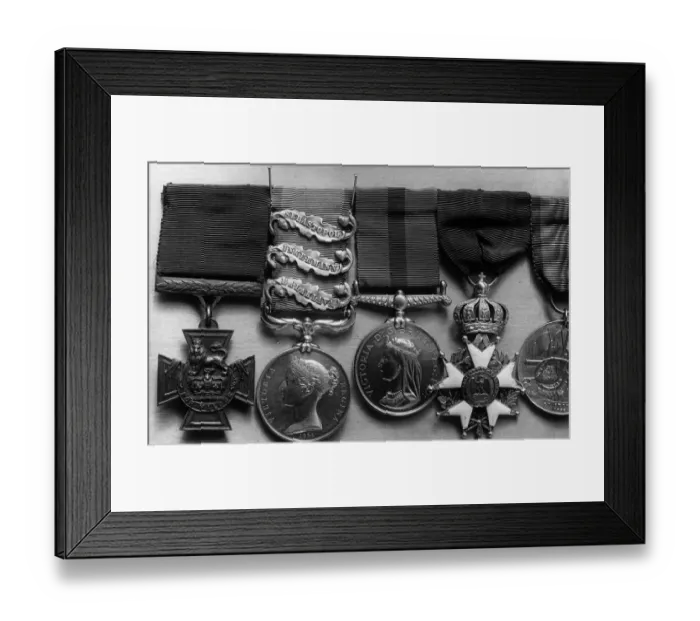 Framed Print : Row Of Medals Framed Print : Row Of Medals