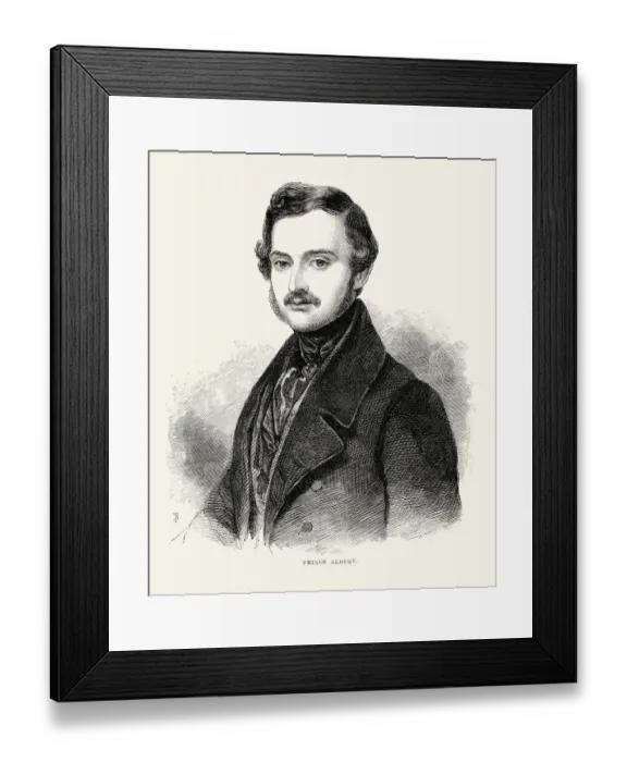 Framed Print : Prince Albert