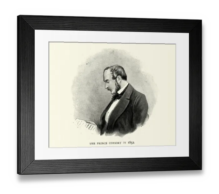 Framed Print : Prince Albert in 1852 Framed Print : Prince Albert in 1852