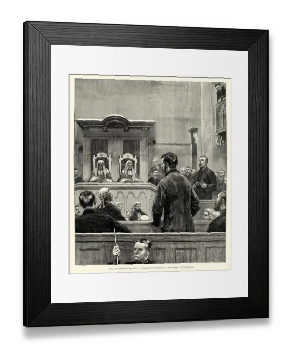Framed Print : Trial of Roderick McLean for shooting at Queen Victoria 1882 Framed Print : Trial of Roderick McLean for shooting at Queen Victoria 1882