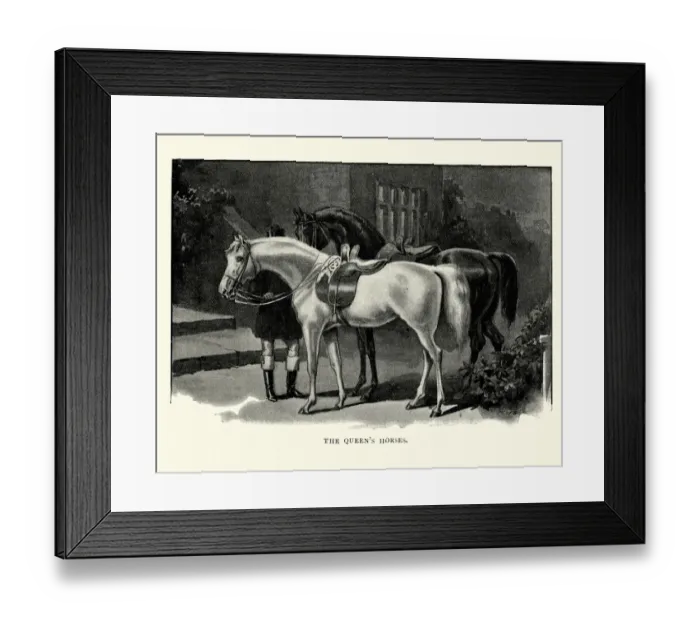 Framed Print : Queen Victorias Horses Framed Print : Queen Victorias Horses