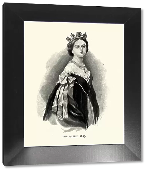 Queen Victoria in 1855