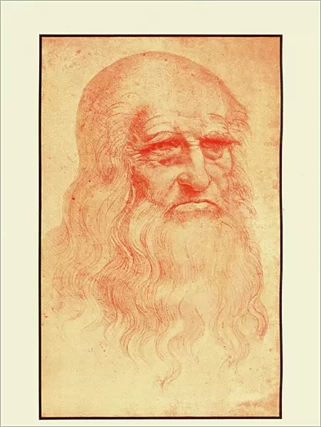 Self Portrait of Leonardo Da Vinci