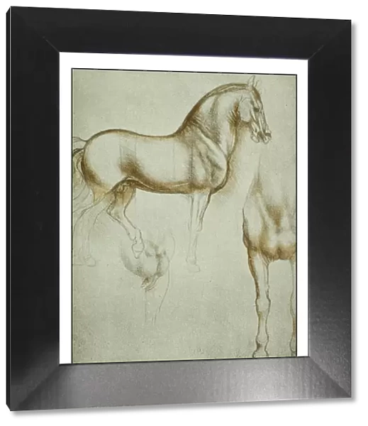 Leonardos sketches and drawings: horse