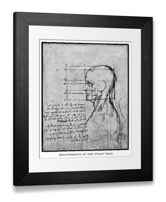 Framed Print : Measurements of the human head by Leonardo Da Vinci Framed Print : Measurements of the human head by Leonardo Da Vinci