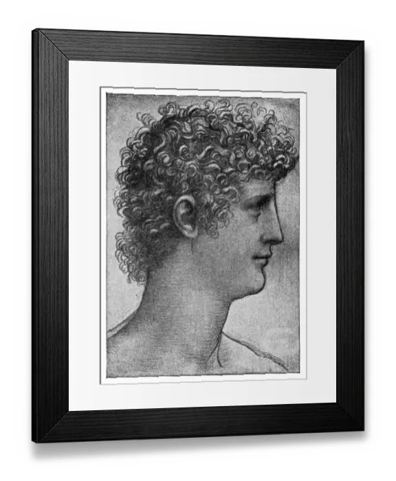 Framed Print : Study sketch of a man by Leonardo Da Vinci Framed Print : Study sketch of a man by Leonardo Da Vinci