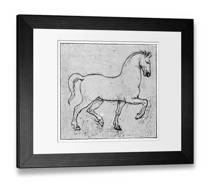 Framed Print : Horse Sketch by Leonardo Da Vinci Framed Print : Horse Sketch by Leonardo Da Vinci