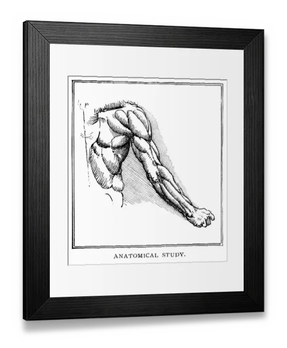 Framed Print : Anatomical study by Leonardo Da Vinci Framed Print : Anatomical study by Leonardo Da Vinci