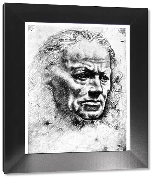 Face of a man by Leonardo Da Vinci