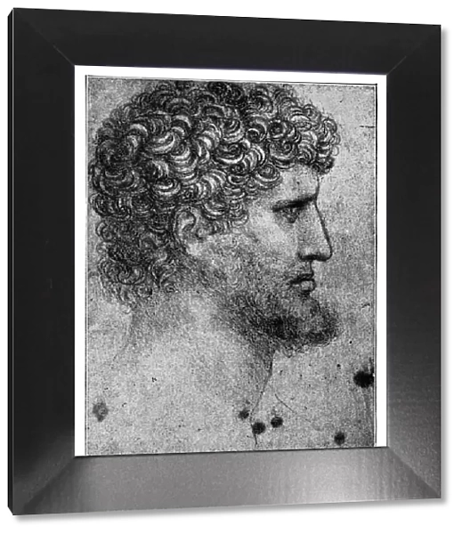 Study sketch of a man by Leonardo Da Vinci
