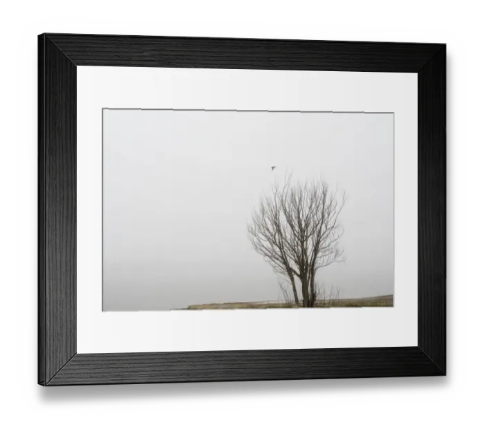 Framed Print : Moody landscape with tree and black bird