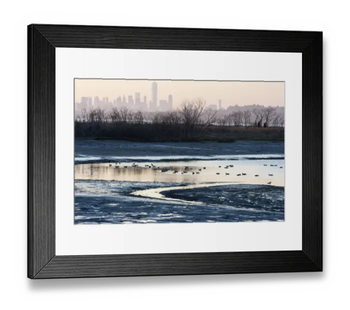 Framed Print : New York skyline with waterfowl in Late winter Framed Print : New York skyline with waterfowl in Late winter