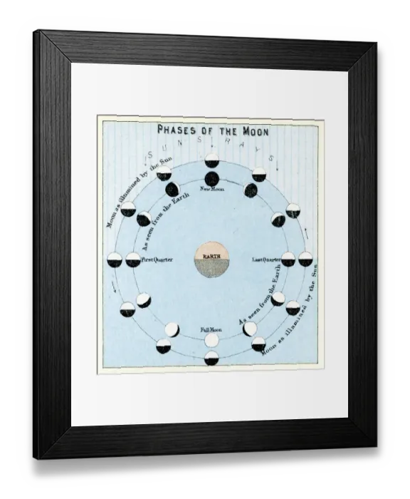 Framed Print : Phases of the Moon Framed Print : Phases of the Moon