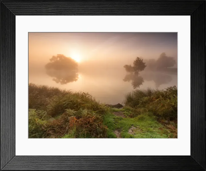Framed Print : Serenity. Richmond Park, London, UK. October 6, 2013. Framed Print : Serenity. Richmond Park, London, UK. October 6, 2013.