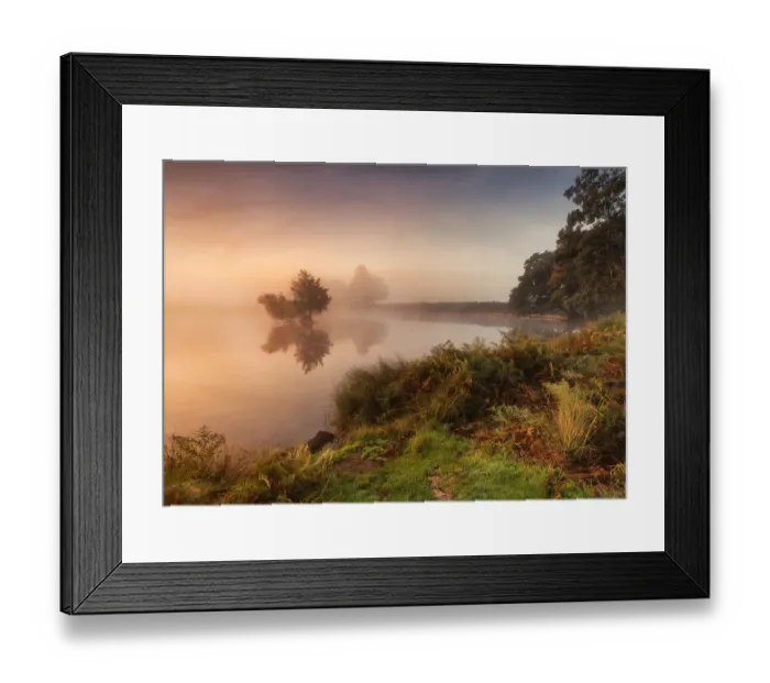 Framed Print : Heart Shattering Beauty of Richmond Park