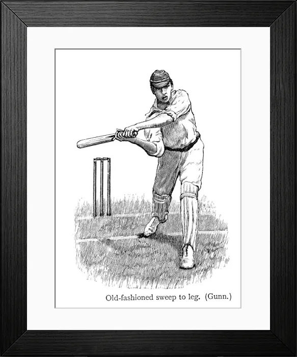 Framed Print : Cricket - Batsman Framed Print : Cricket - Batsman