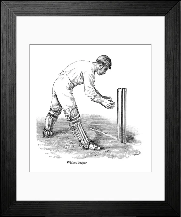 Framed Print : Cricket - Wicketkeeper Framed Print : Cricket - Wicketkeeper