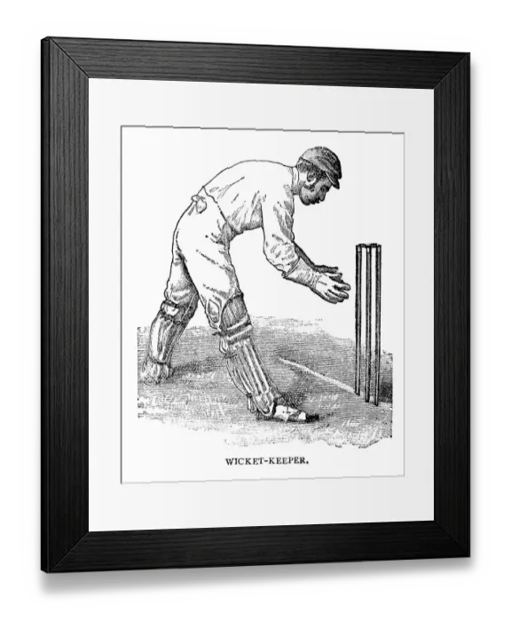 Framed Print : Wicket keeper Framed Print : Wicket keeper