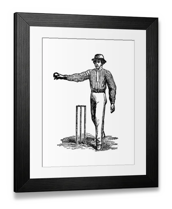 Framed Print : Bowler - Cricket Framed Print : Bowler - Cricket