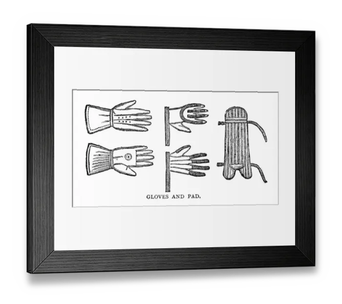 Framed Print : Cricket Gloves and Pads Framed Print : Cricket Gloves and Pads