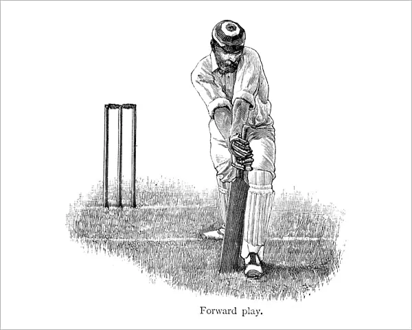 Cricket - Batsman