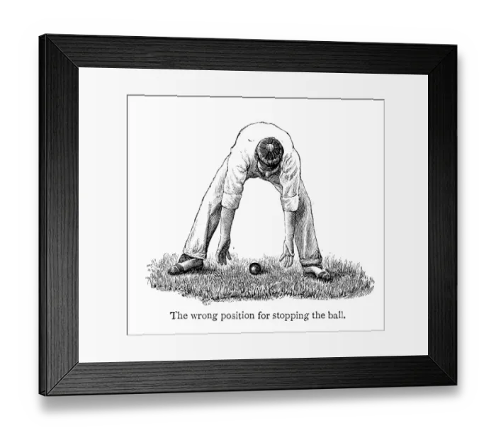 Framed Print : Cricket - Fielder Framed Print : Cricket - Fielder