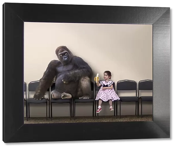 Caucasian girl offering banana to gorilla