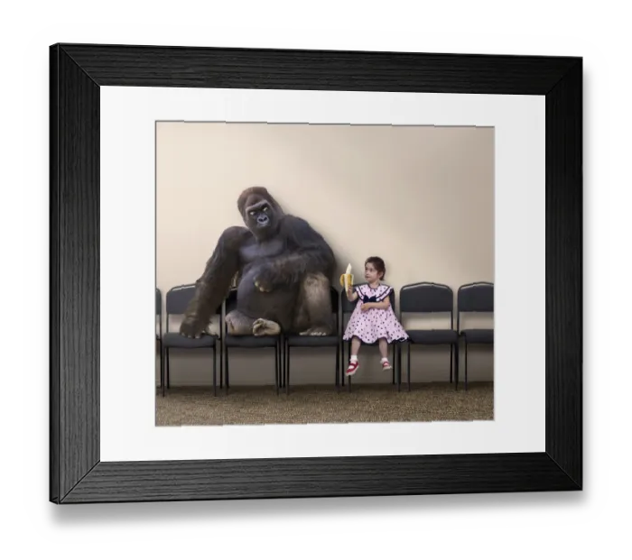 Framed Print : Caucasian girl offering banana to gorilla